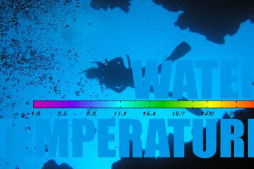 Wetsuit Water Temperature Chart and Guide for Divers
