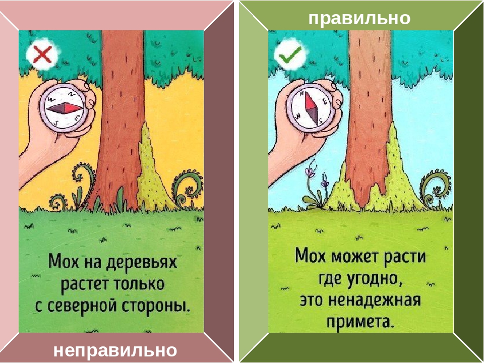 Это неправильно. Правильно неправильно. Правильно и не правильно. Неправильно неправильно неправильно. Не правильно или неправильно.