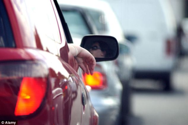 Segregated drive: The AA warned that the proposed two-tier system could lead to roads divided by income with a 