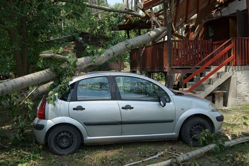A car damaged by hurricane with fallen tree on the house and car royalty free stock photos