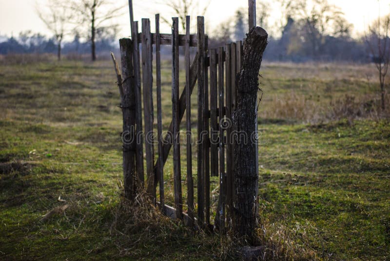 Concept one way , one exit, enter way out. Old wooden door on an empty green field. Success concept corporate way enter exit one finance business climb ladder stock photo