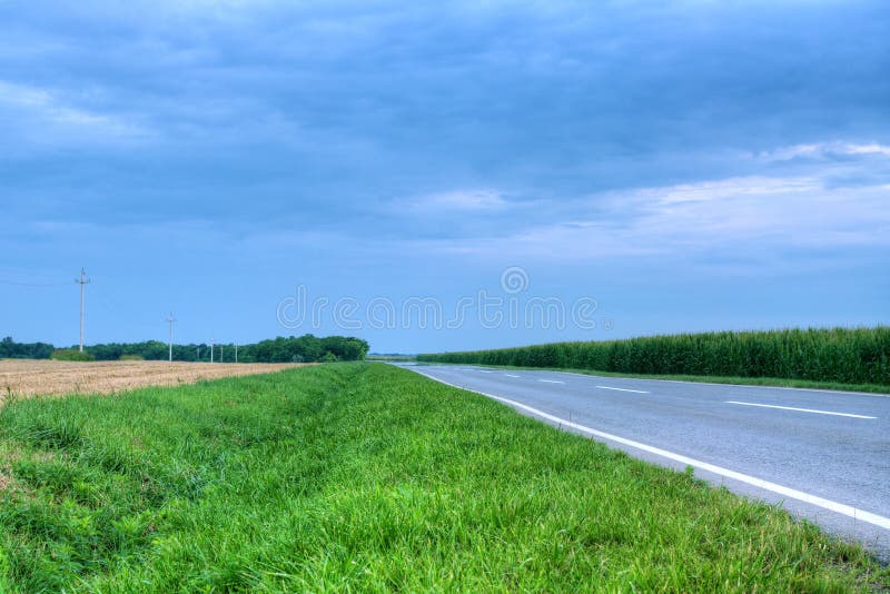 Country road by the cornfield royalty free stock image