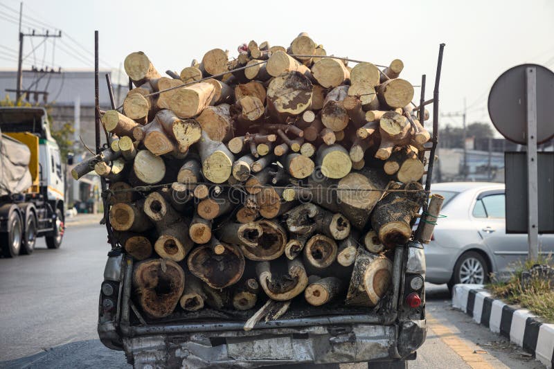 Decay pickup car transporting pile cut timber wood on highway stock photography