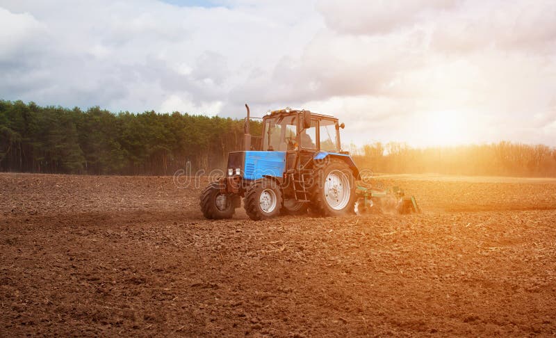 In the early,spring morning,because of the wood the bright sun ascends.The tractor goes and pulls a plow,plowing a field before la royalty free stock image