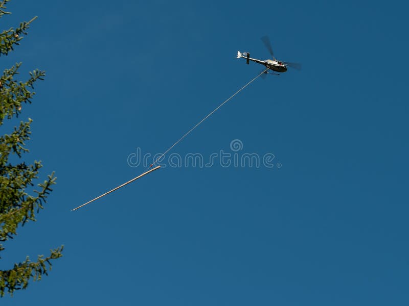 A helicopter carrying a tree trunk blue sky stock image