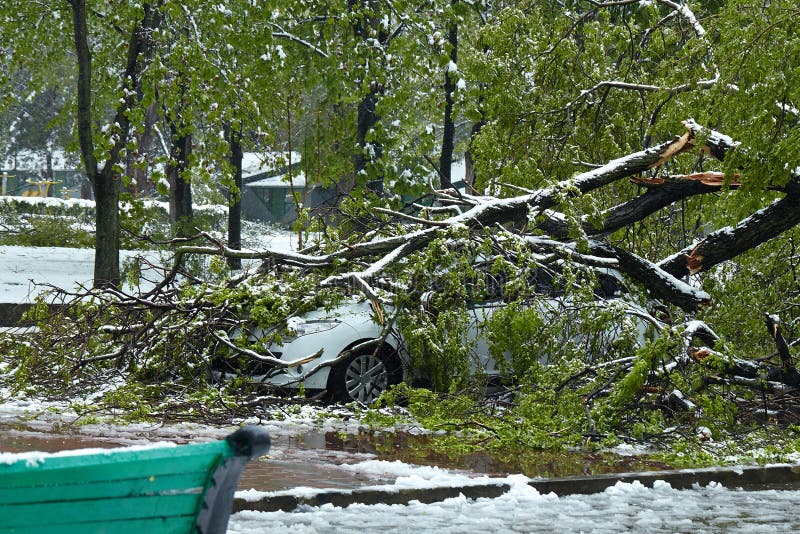 Hurricane-damaged car royalty free stock photos