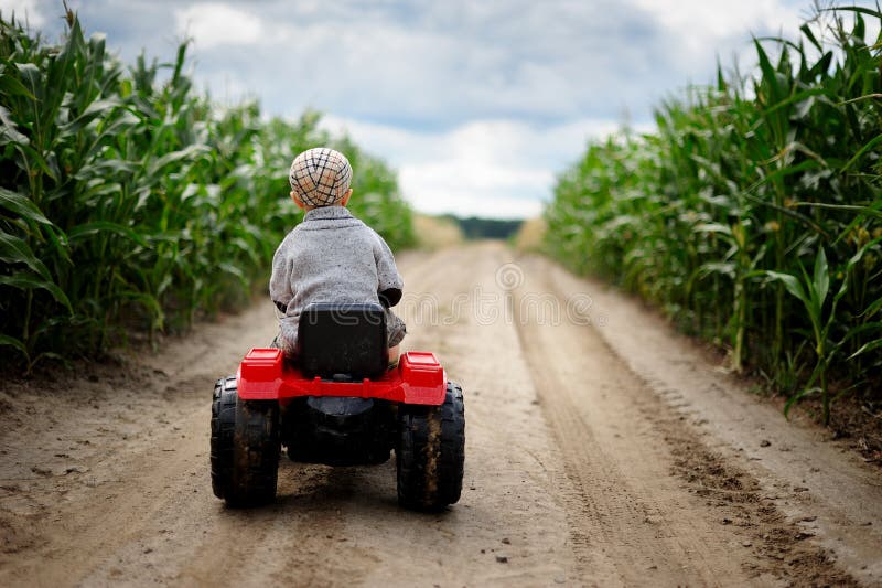 A little boy farmer is driving a small tractor on a dirt road through a cornfield. A portrait of cute child wearing sweater and hat, driving a small toy tractor royalty free stock photography