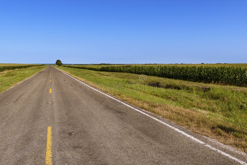 Long empty country road in rural Texas along a cornfield; Concept for travel in Texas. USA royalty free stock photo