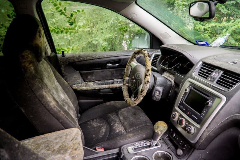 Mold growing inside a flooded car after Hurricane Harvey stock images