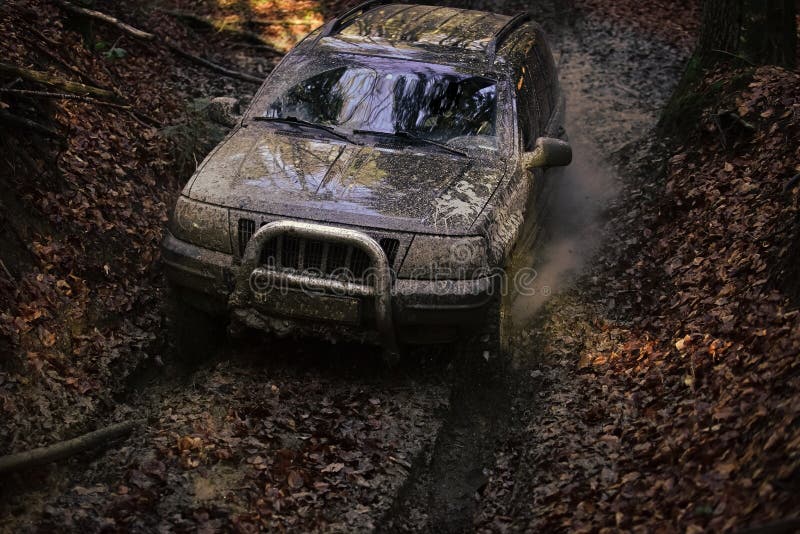 Offroad car going through deep mud holes. Offroad car going through deep mud. SUV covered with dirt goes through forest. Car with fall nature on background. 4x4 royalty free stock image