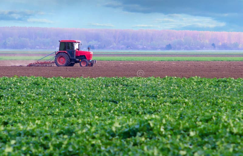 Red tractor working on thre agricultural field royalty free stock photo