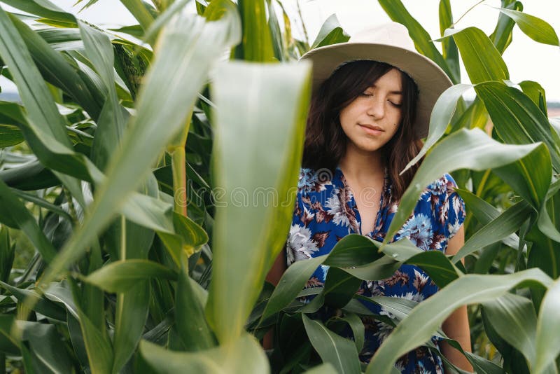 Stylish young woman in blue vintage dress and hat posing in green corn field. Sensual portrait of beautiful girl in cornfield maze. Calm tranquil moment in royalty free stock photography