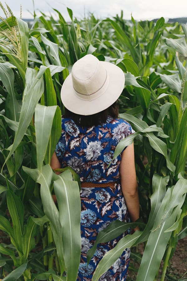 Stylish young woman in blue vintage dress and hat walking in green corn field. Happy beautiful girl in cornfield maze, calm. Tranquil moment in summer stock images