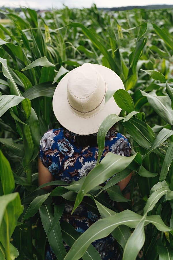 Stylish young woman in blue vintage dress and hat walking in green corn field. Happy beautiful girl in cornfield maze, calm. Tranquil moment in summer royalty free stock photos