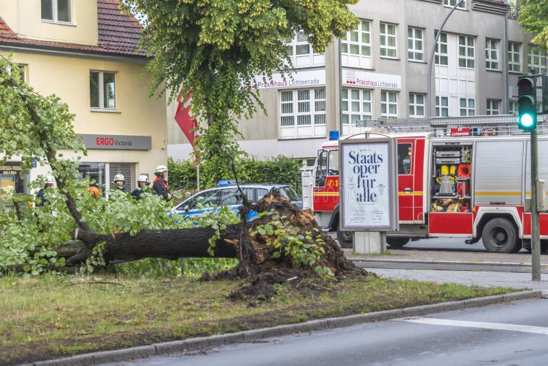 An uprooted tree lying on a major road in Berlin, Germany, after a heavy storm. Firefighters are cutting it to clear the road royalty free stock photo