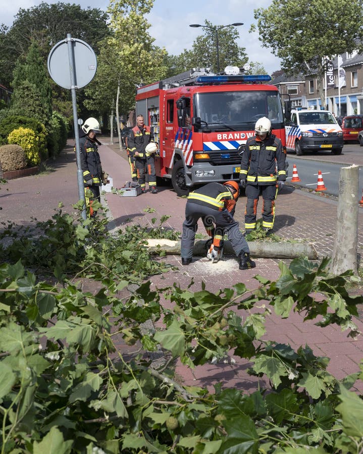 Firefighters remove fallen tree in dutch town on Voorschoten in the netherlands after summer storm royalty free stock images