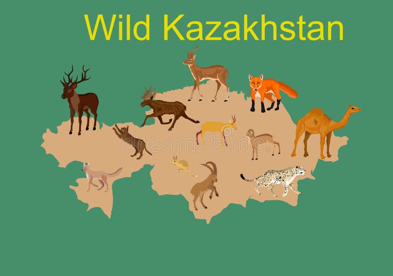 Wild Kazakhstan, fauna of Kazakhstan map royalty free illustration